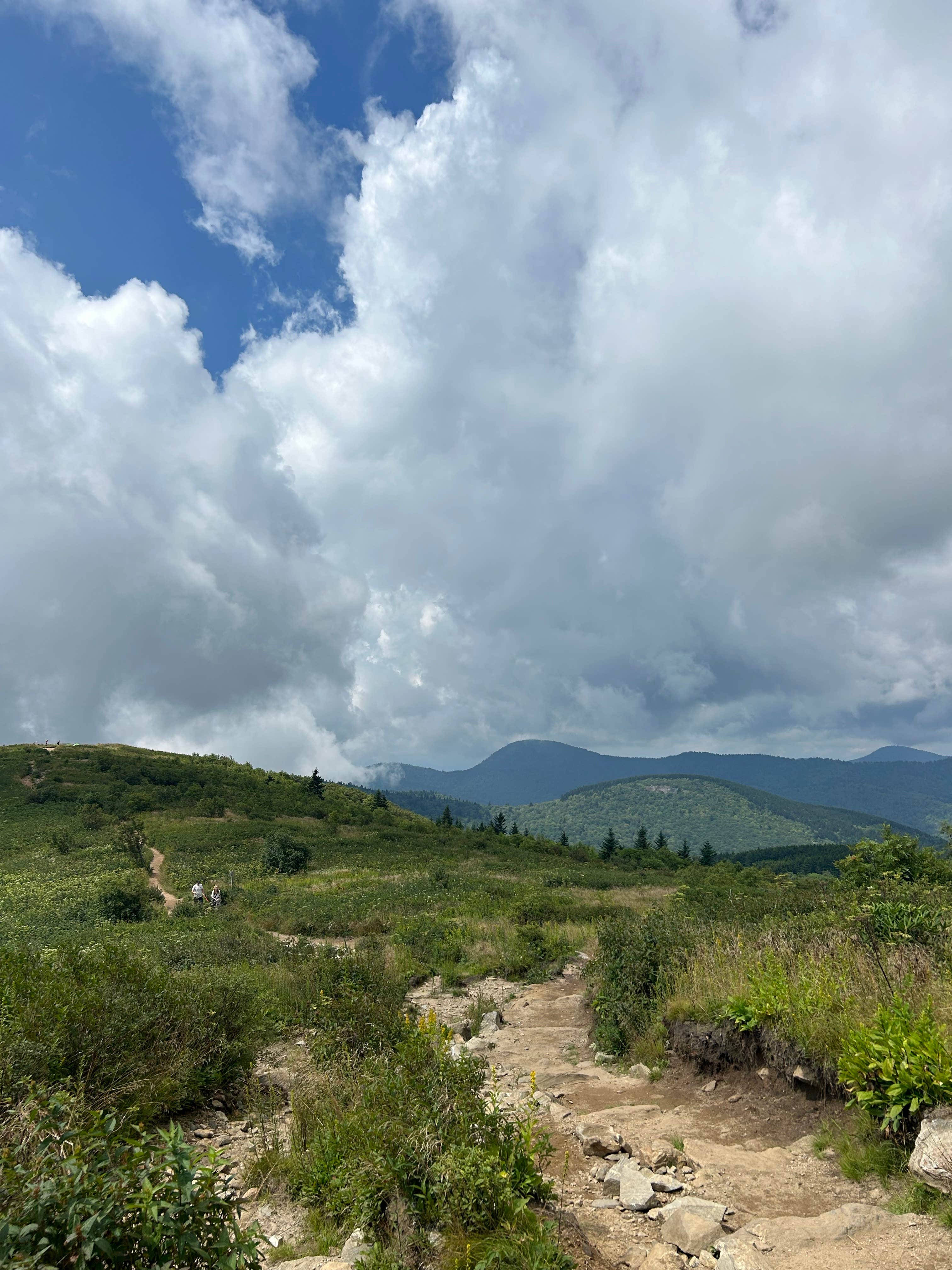 Celine T.'s photo of a dispersed camping area at Black Balsam Knob - Dispersed Camping near Horse Shoe, NC