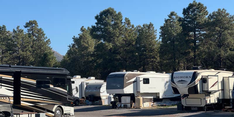Camper submitted image from Black Bart's RV Park