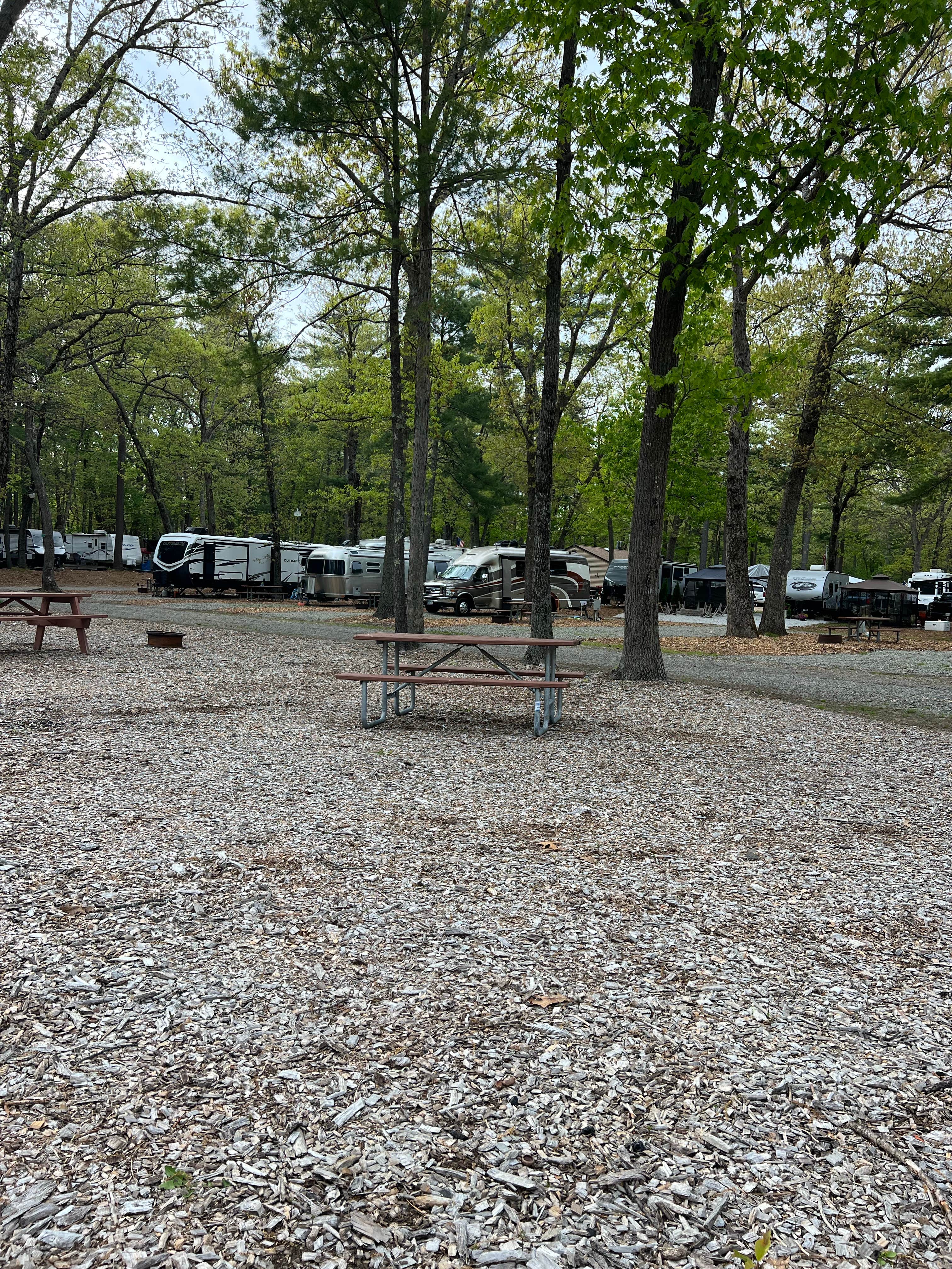 Camper submitted image from Black Bear Campground - 2