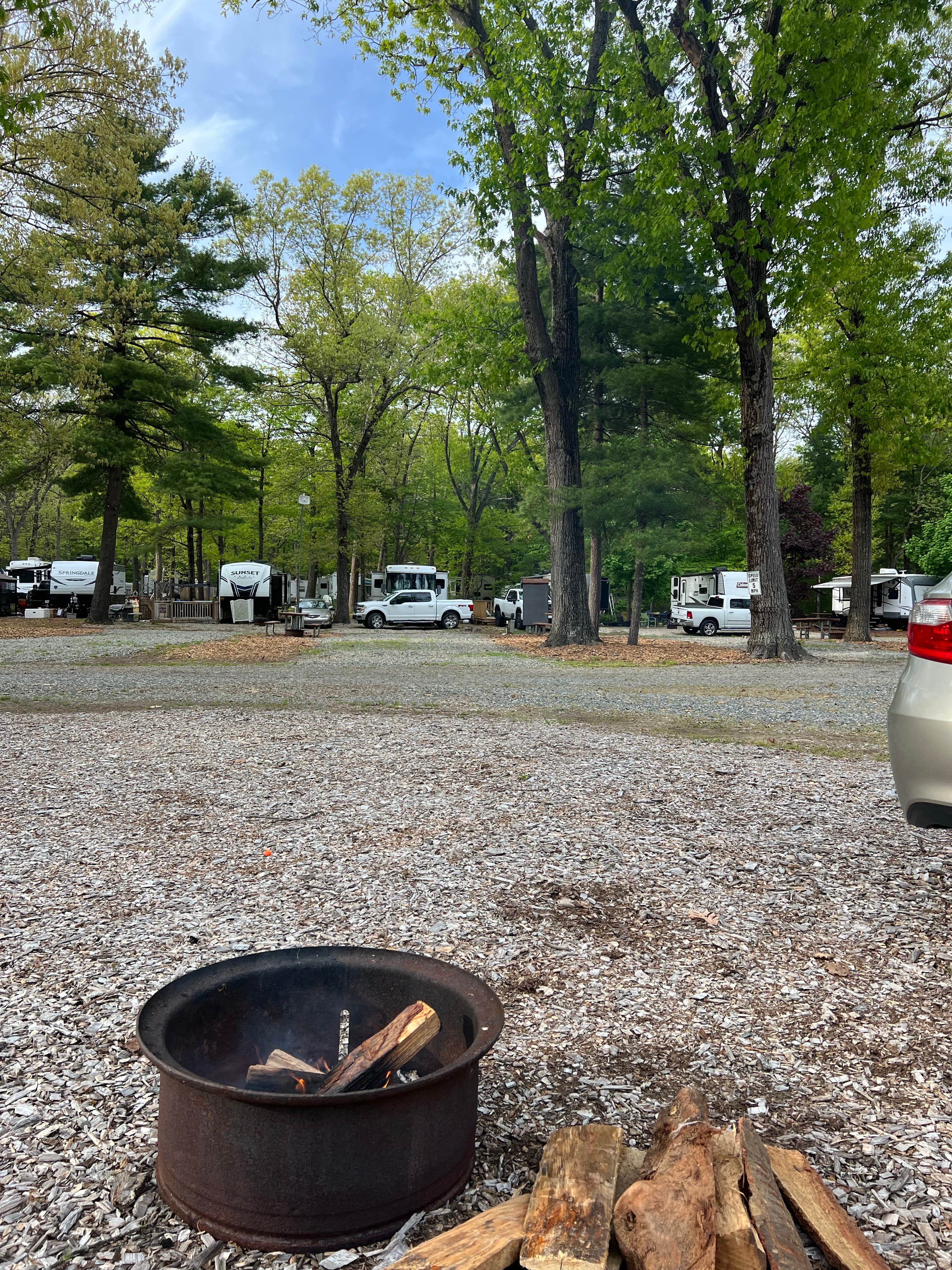 Camper-submitted photo at Black Bear Campground near Ipswich, MA