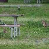 Review photo of Black Bear RV Park by Wyndie G., June 5, 2025