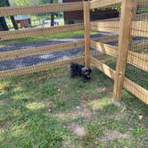 Review photo of Black Bear RV Park by edgar V., September 17, 2026