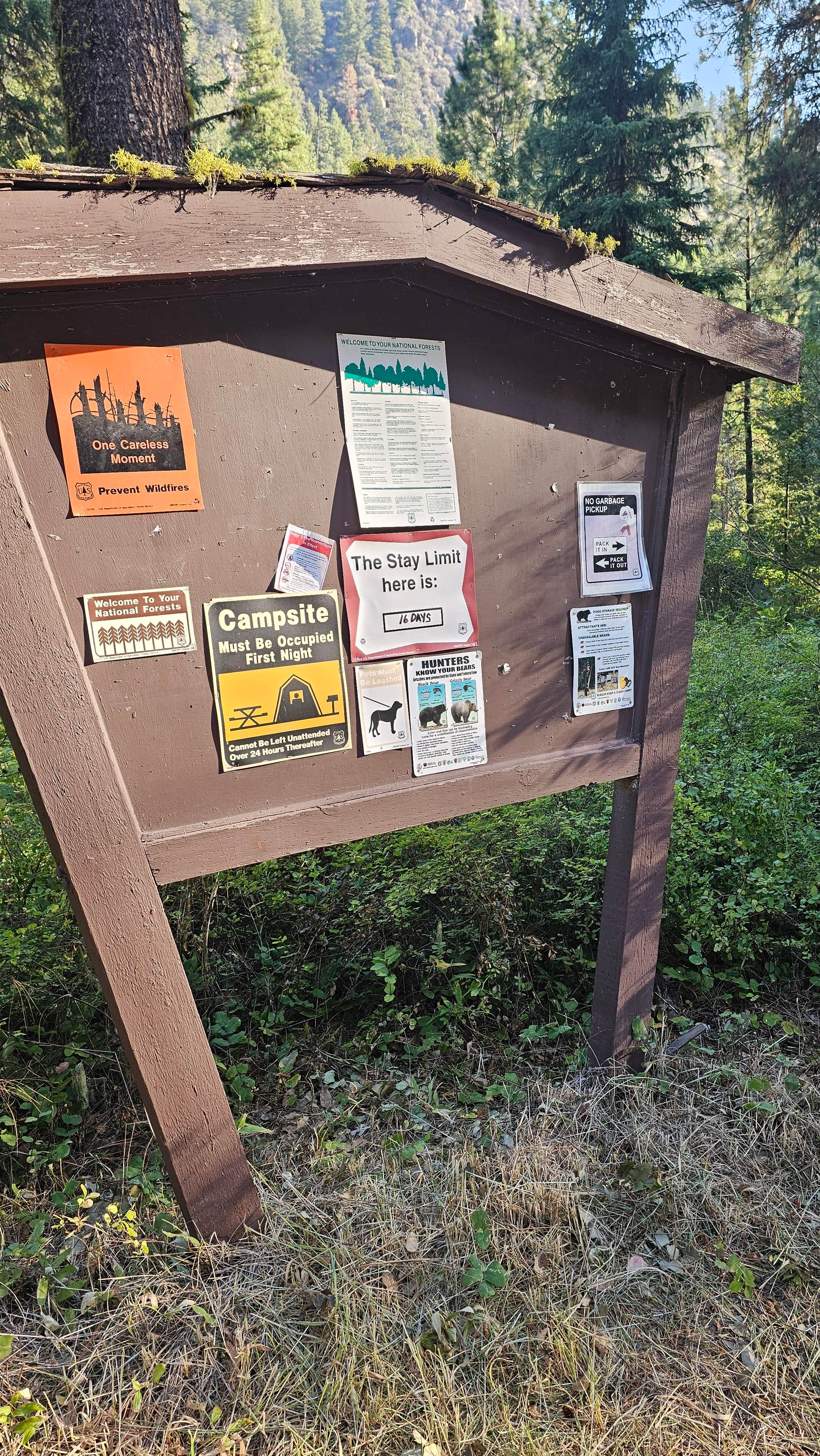 Camper-submitted photo at Black Bear Campground near Corvallis, MT