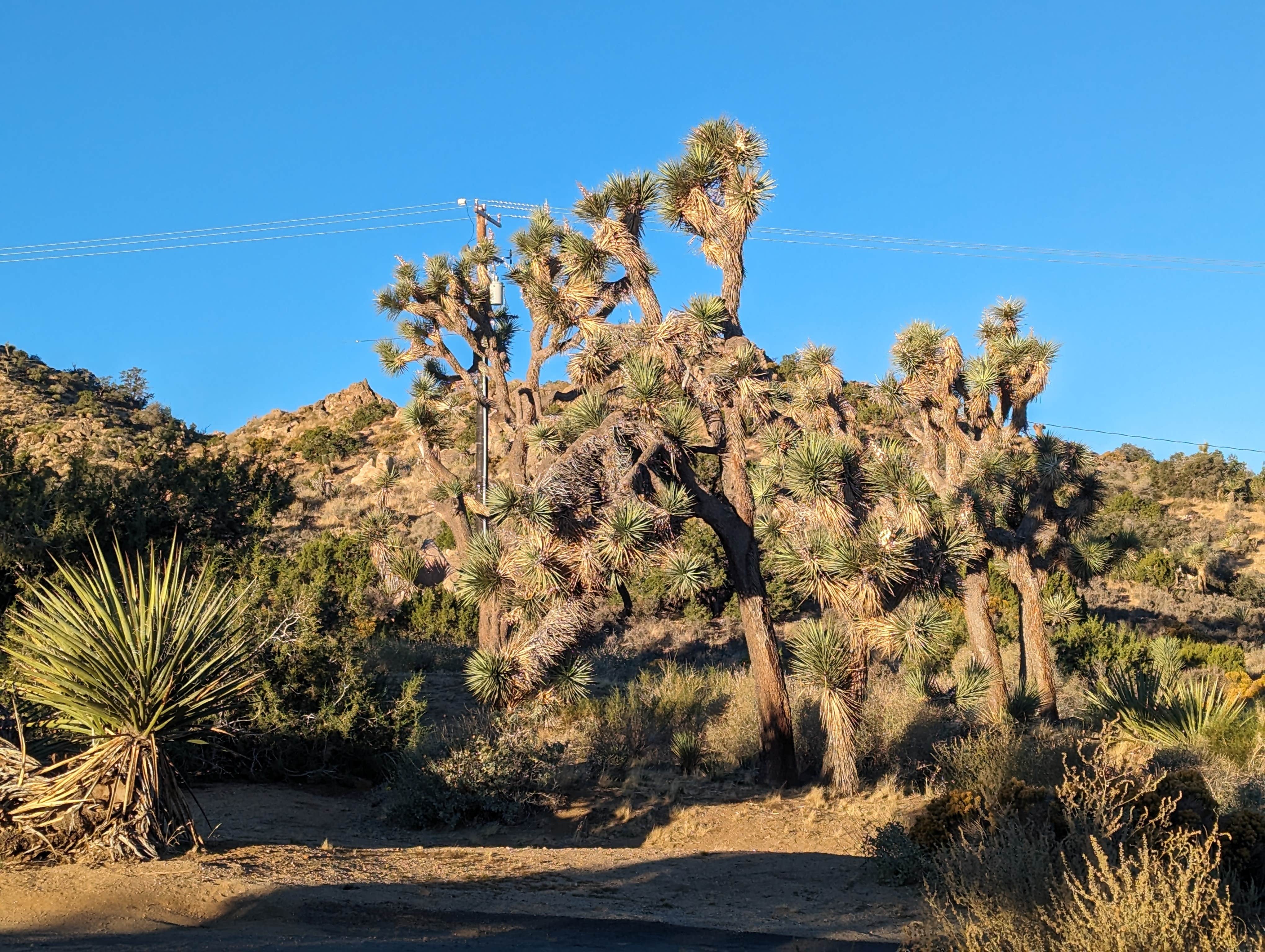 Camper-submitted photo at Black Canyon near Mohave Valley, AZ