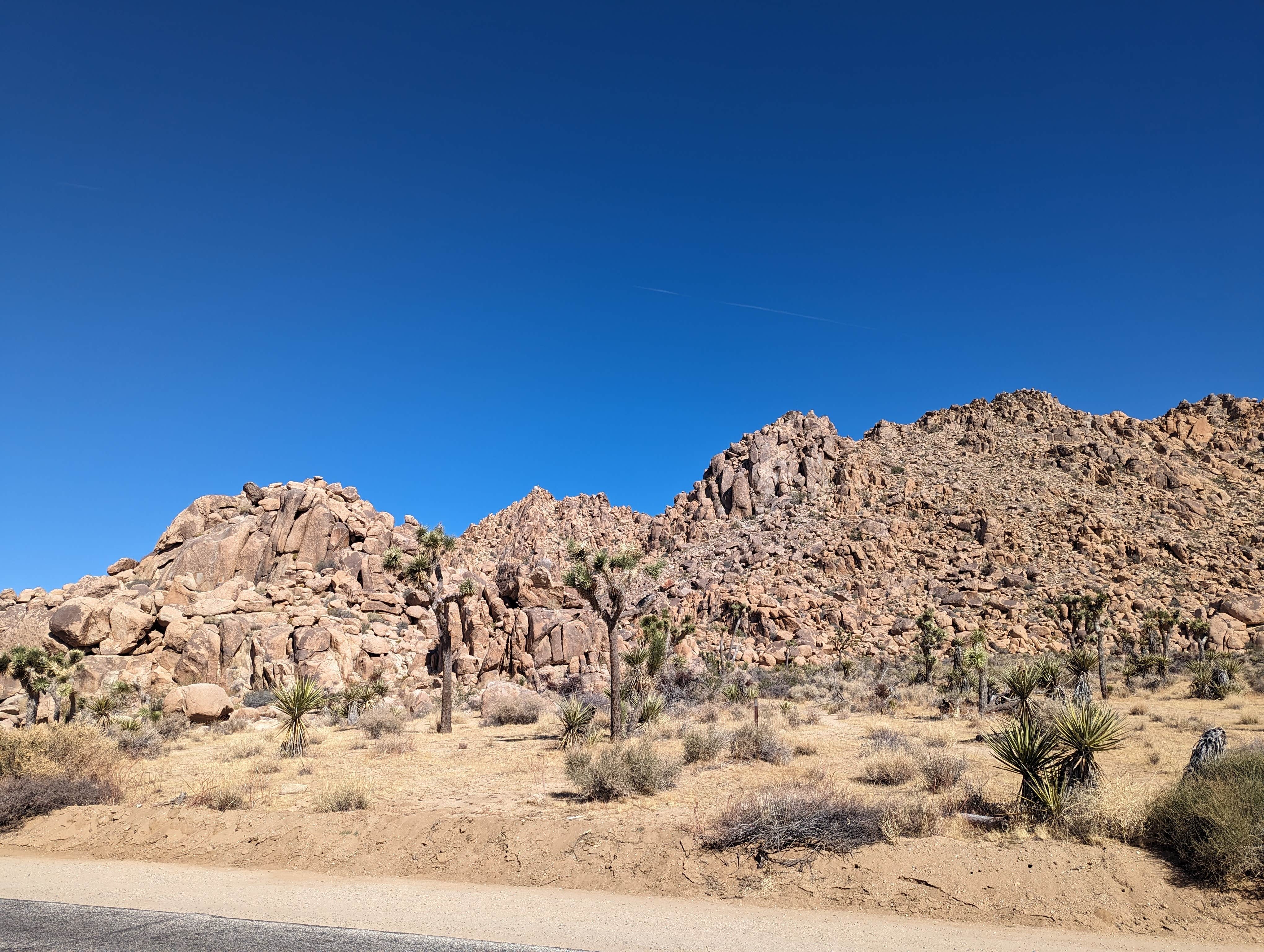 Camper-submitted photo at Black Canyon near Mohave Valley, AZ