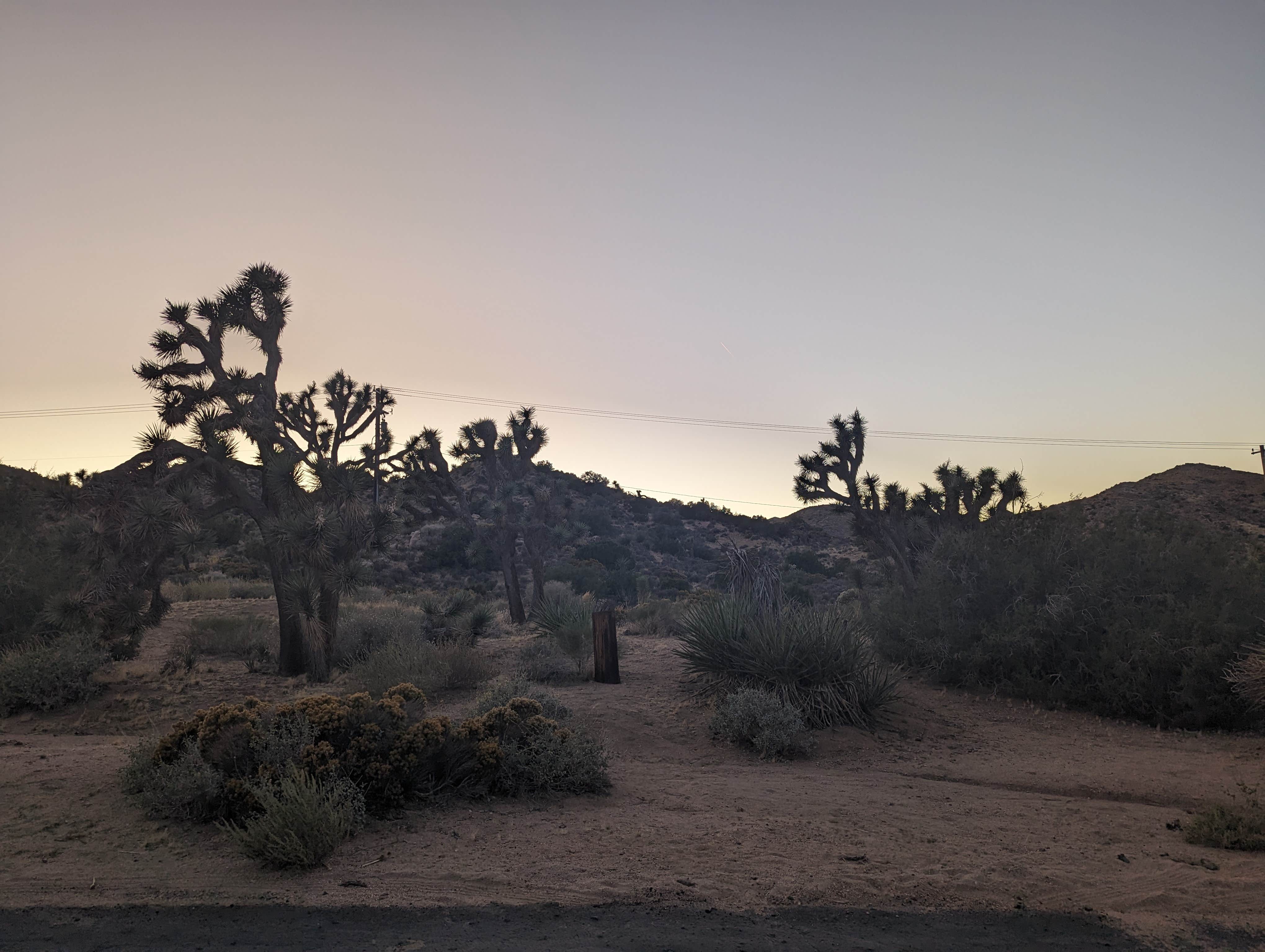 Camper-submitted photo at Black Canyon near Mohave Valley, AZ