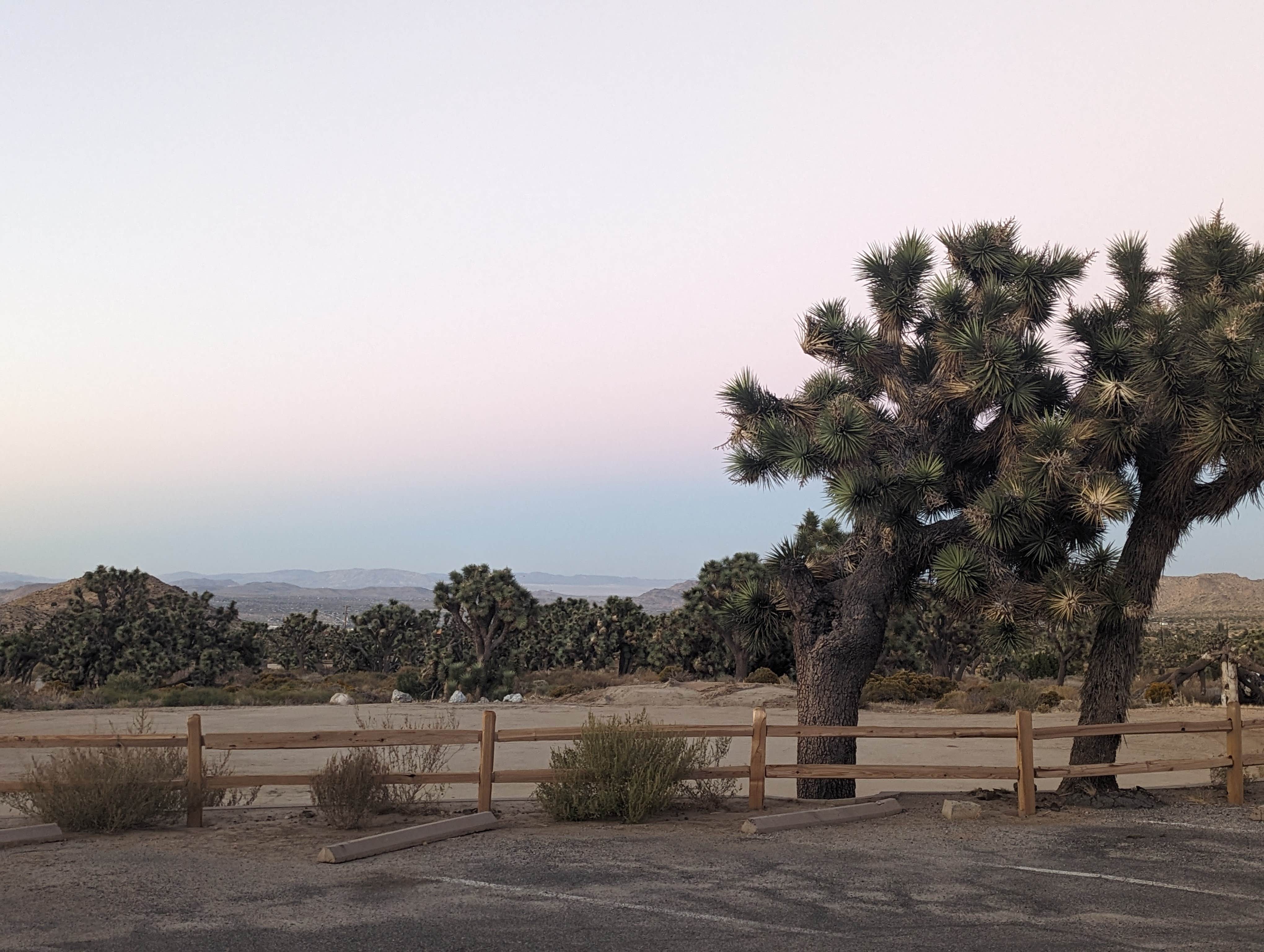 Camper submitted image from Black Canyon - 3
