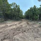 Review photo of Black Canyon Dispersed Camping by Jeff P., March 30, 2025
