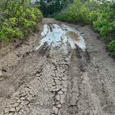 Review photo of Black Canyon Dispersed by Randall J., June 3, 2024