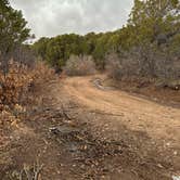 Review photo of Black Canyon Dispersed Camping by Jeff P., March 30, 2025