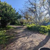 Review photo of South Rim Campground — Black Canyon of the Gunnison National Park by Tori K., May 30, 2025
