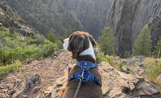 Joel R.'s photo of camping with pets at South Rim Campground — Black Canyon of the Gunnison National Park near Curecanti National Recreation Area