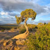 Review photo of South Rim Campground — Black Canyon of the Gunnison National Park by Cindy D., May 29, 2025