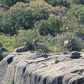 Review photo of South Rim Campground — Black Canyon of the Gunnison National Park by Tori K., May 30, 2025