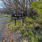 Review photo of South Rim Campground — Black Canyon of the Gunnison National Park by Chris P., May 14, 2025