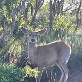 Review photo of South Rim Campground — Black Canyon of the Gunnison National Park by Joel R., October 30, 2023