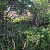 Review photo of South Rim Campground — Black Canyon of the Gunnison National Park by Tori K., May 30, 2025