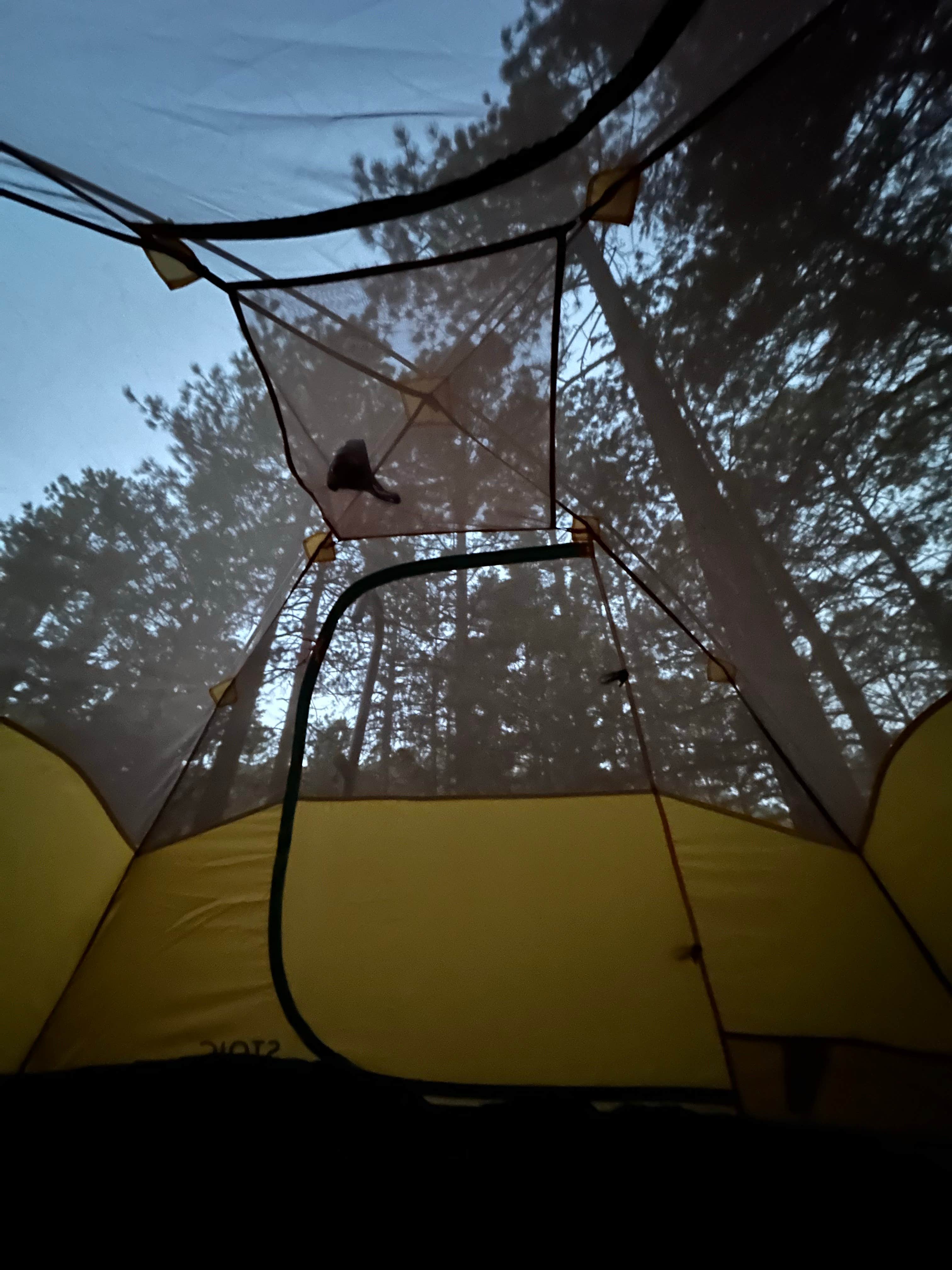 Elise A.'s photo at Black Canyon Campground near Española, NM