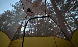 Elise A.'s photo at Black Canyon Campground near Tesuque, NM