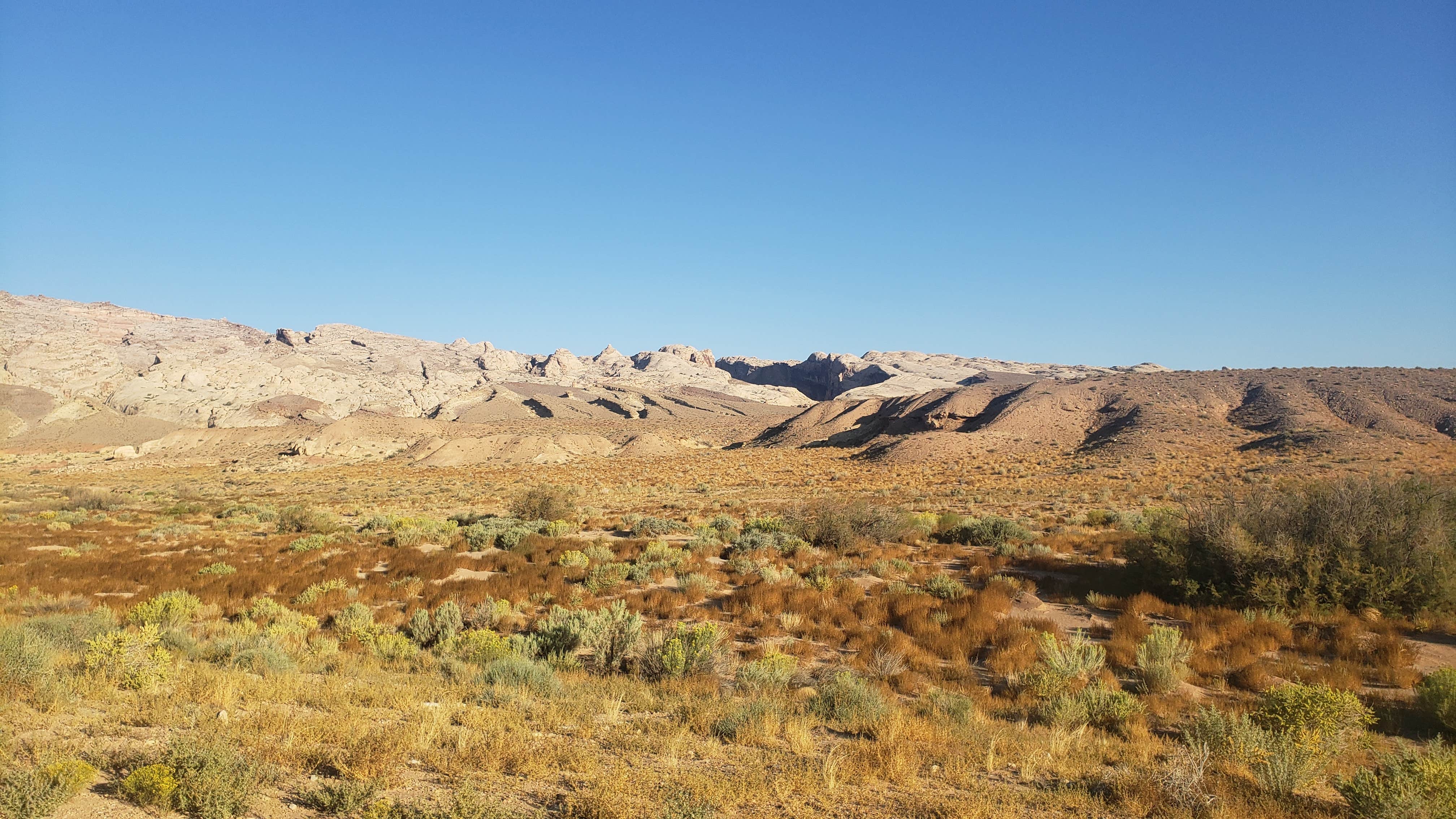 Camping near Green River State Park Campground: Black Dragon Pictograph Panel Dispersed, Green River, Utah