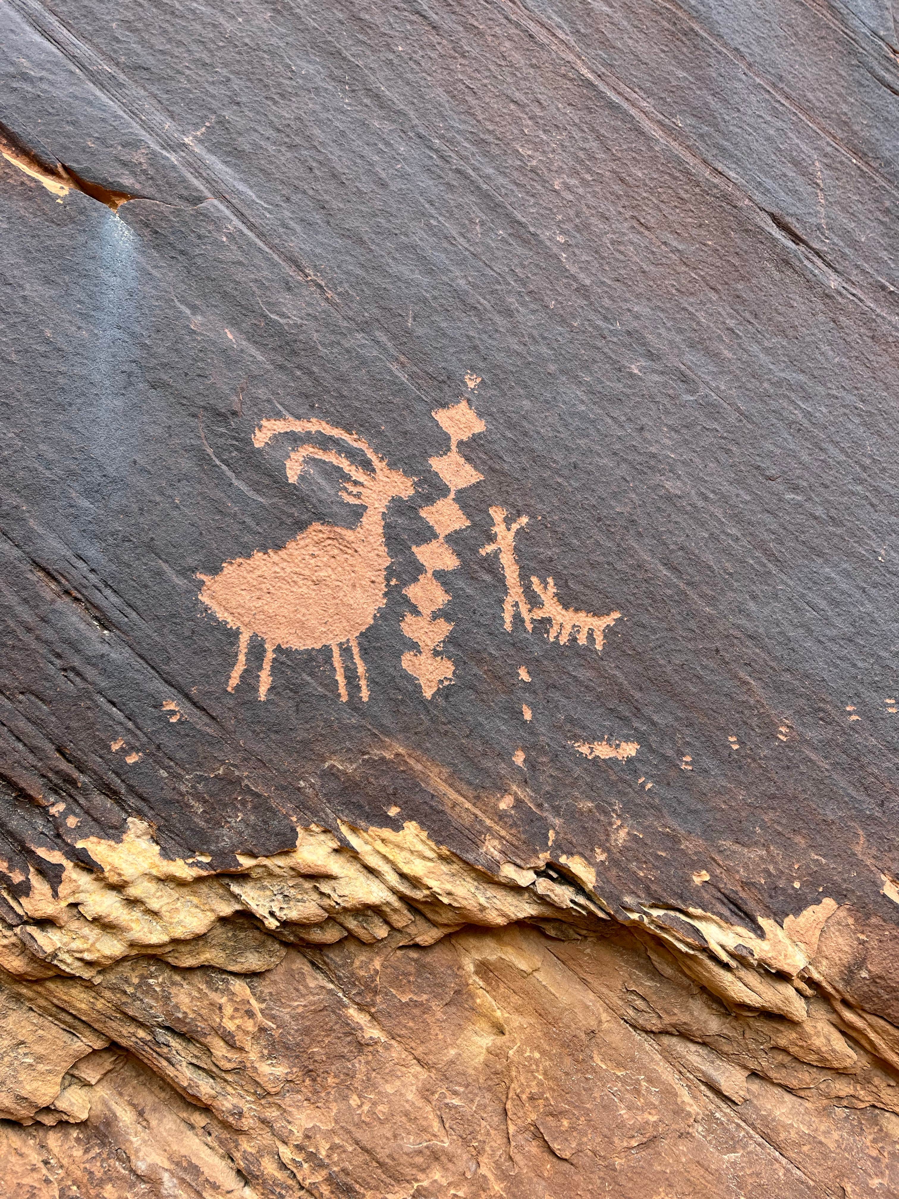 Camper-submitted photo at Black Dragon Pictograph Panel Dispersed near Hanksville, UT