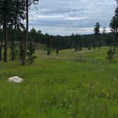 Review photo of Black Hills National Forest Dutchman Campground by Peter D., August 29, 2025