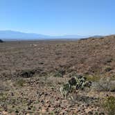 Review photo of Black Hills Rockhound by Vidalia S., February 7, 2026