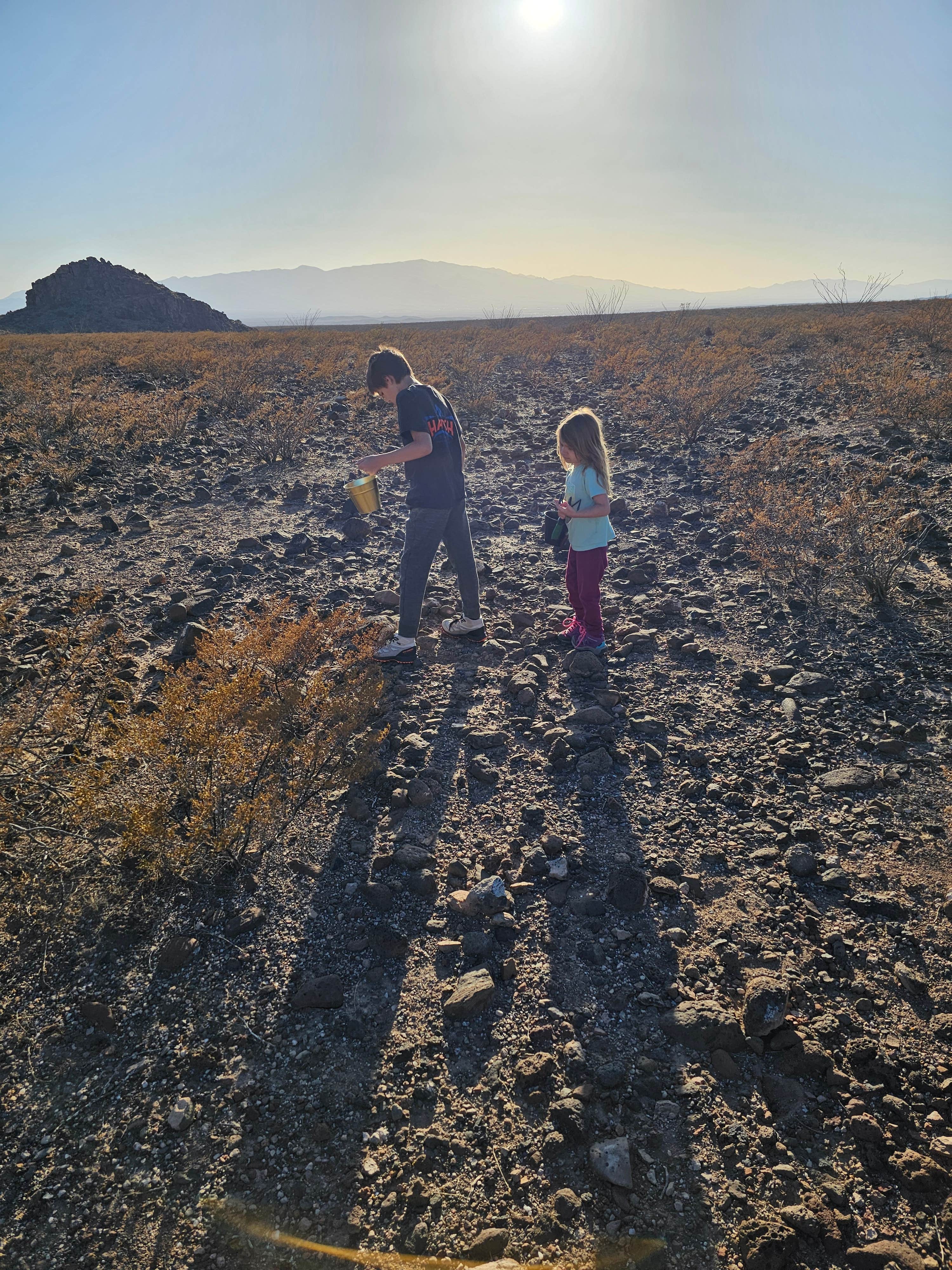 Camper-submitted photo at Black Hills Rockhound near Morenci, AZ
