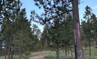 Michaela G.'s photo at Black Hills Schmitz B2A Dispersed Camping near Nemo, SD