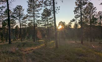 David M.'s photo of a dispersed camping area at Black Hills Schmitz B2A Dispersed Camping near Nemo, SD