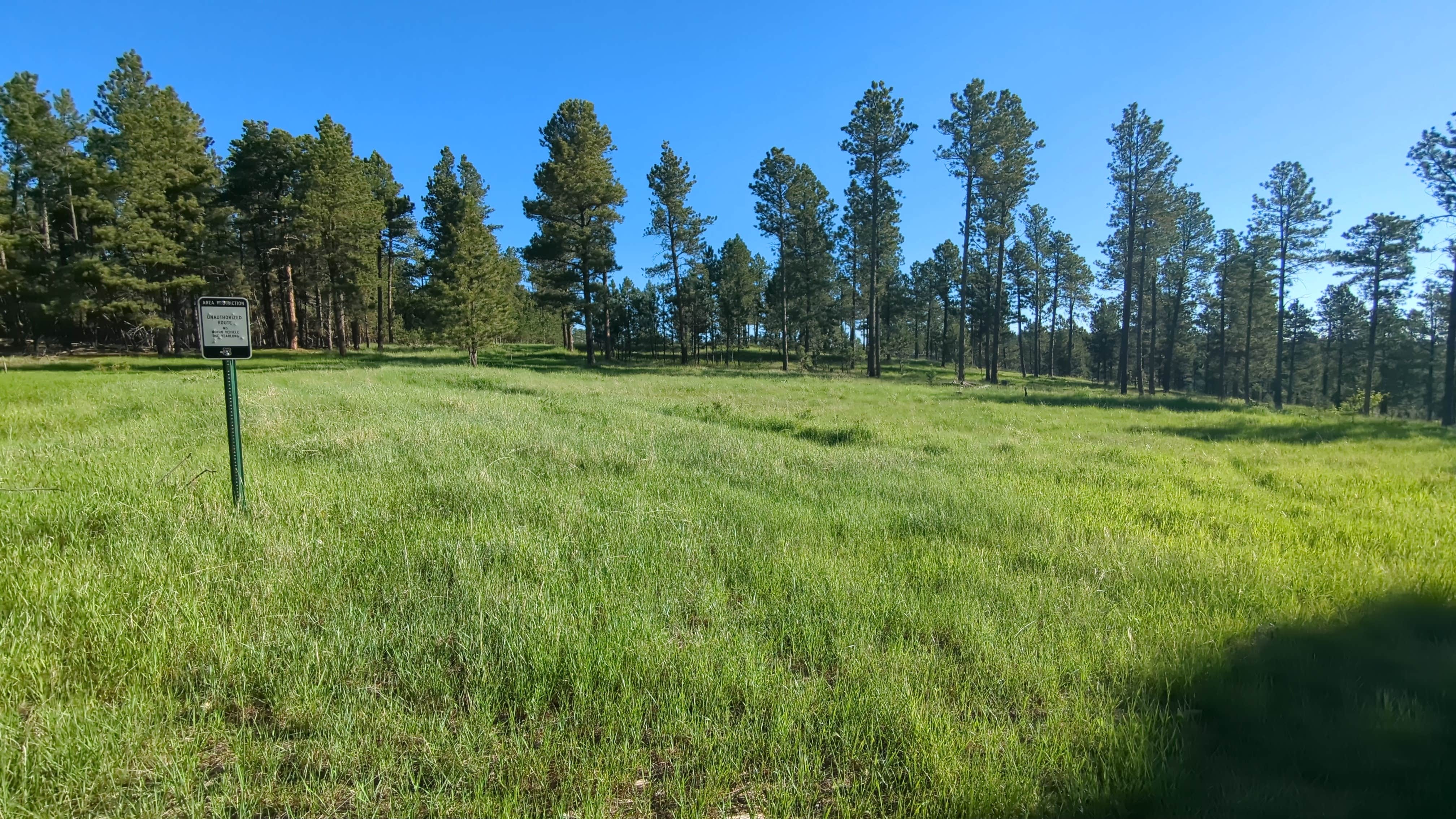 Camper-submitted photo at Black Hills Schmitz B2A Dispersed Camping near Rapid City, SD