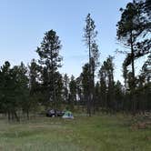 Review photo of Black Hills Schmitz B2A Dispersed Camping by Michaela G., June 20, 2026