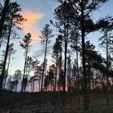 Review photo of Black Hills Schmitz B2A Dispersed Camping by Michaela G., June 20, 2026