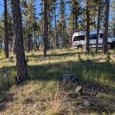 Review photo of Black Hills Schmitz B2A Dispersed Camping by David M., June 2, 2025