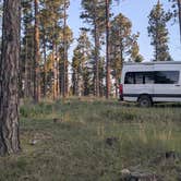 Review photo of Black Hills Schmitz B2A Dispersed Camping by David M., June 2, 2025