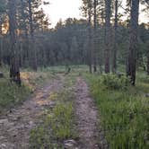 Review photo of Black Hills Schmitz B2A Dispersed Camping by David M., June 2, 2025
