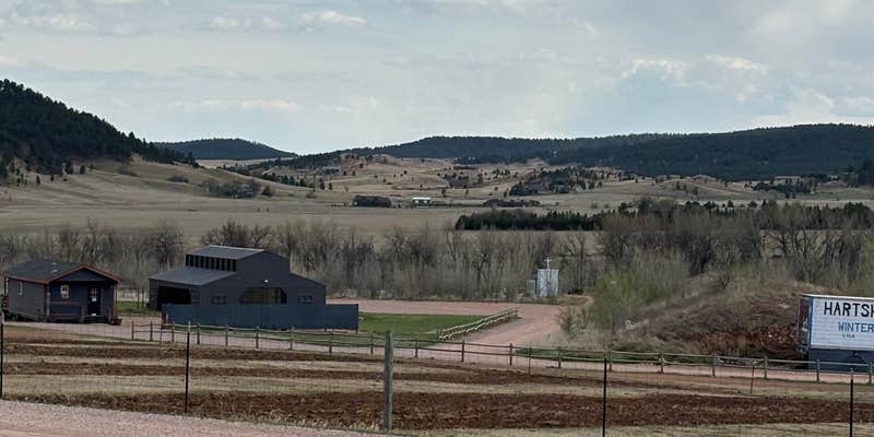 Camper submitted image from Black Hills Tiny Resort