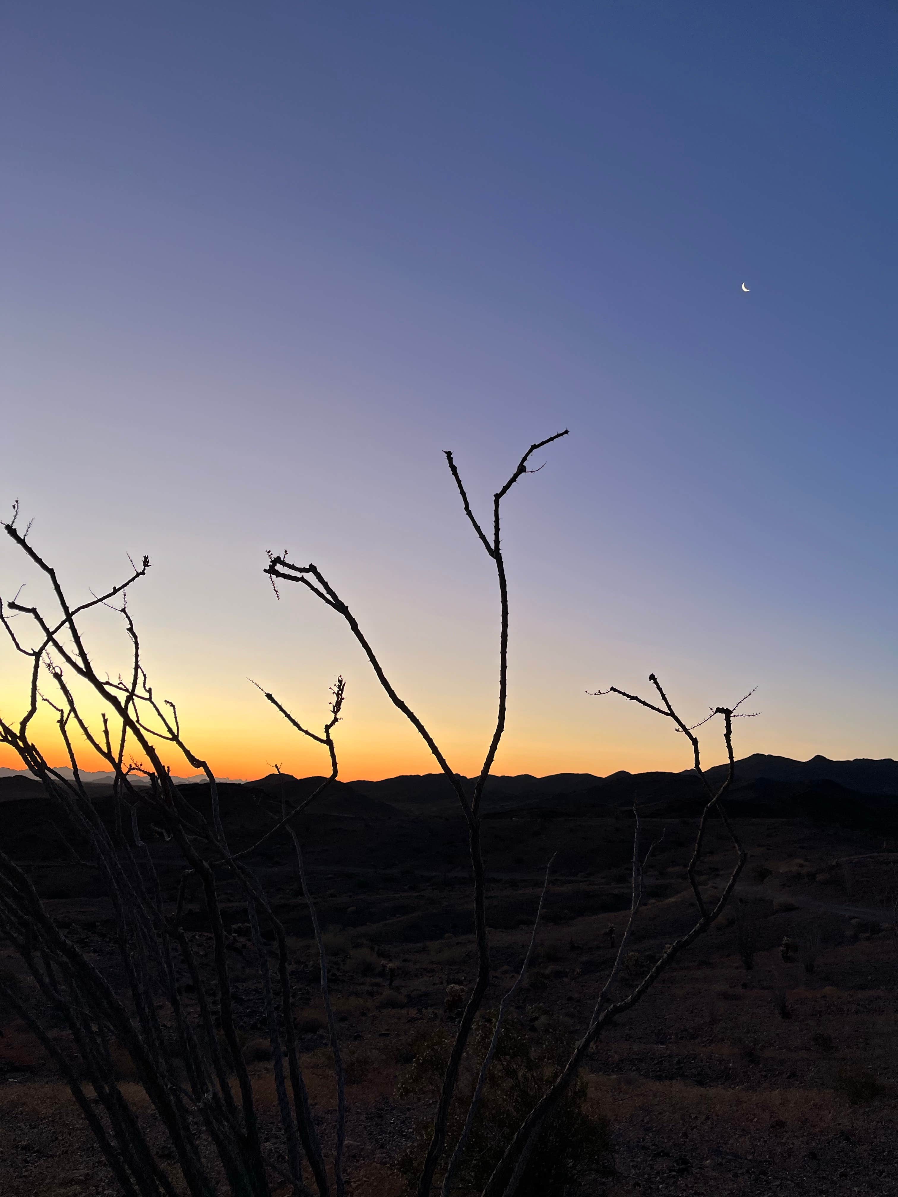 Camper-submitted photo at Black Mountain Road Camp near Blythe, CA