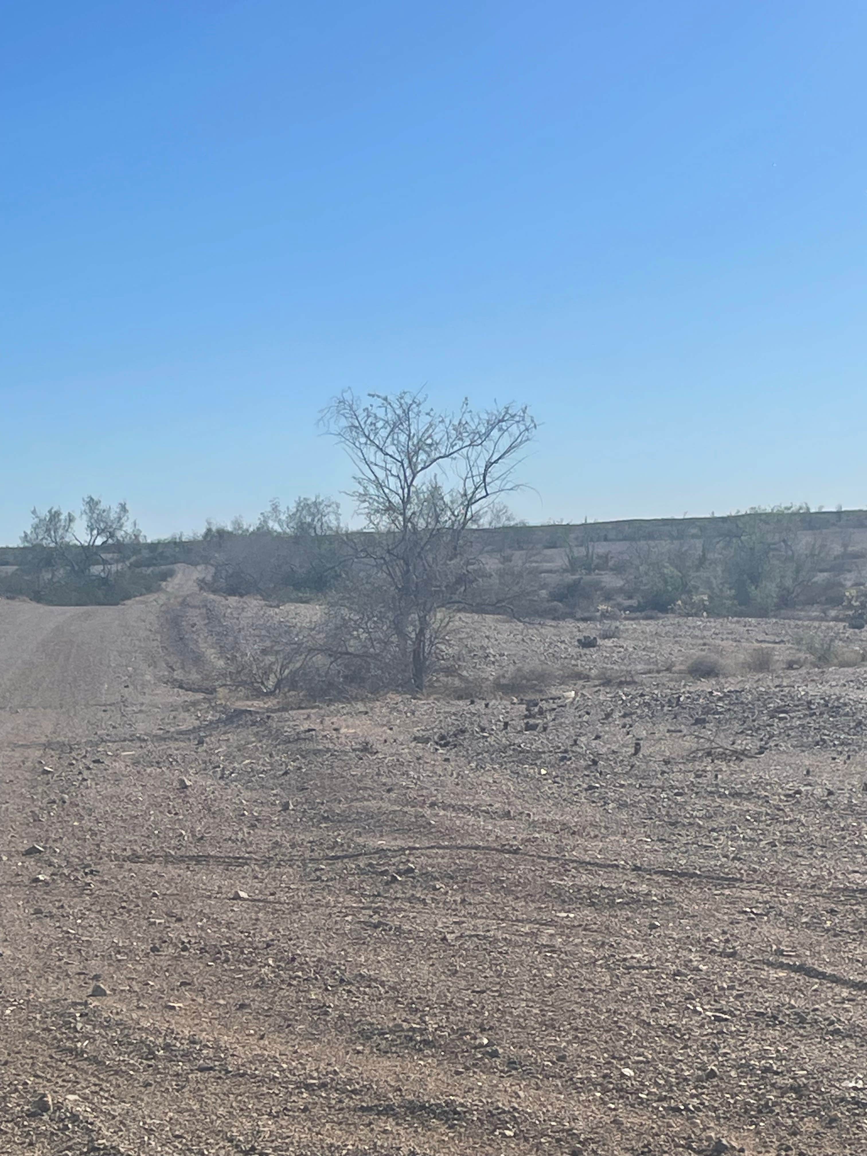 Camper-submitted photo at Black Mountain Road Camp near Blythe, CA