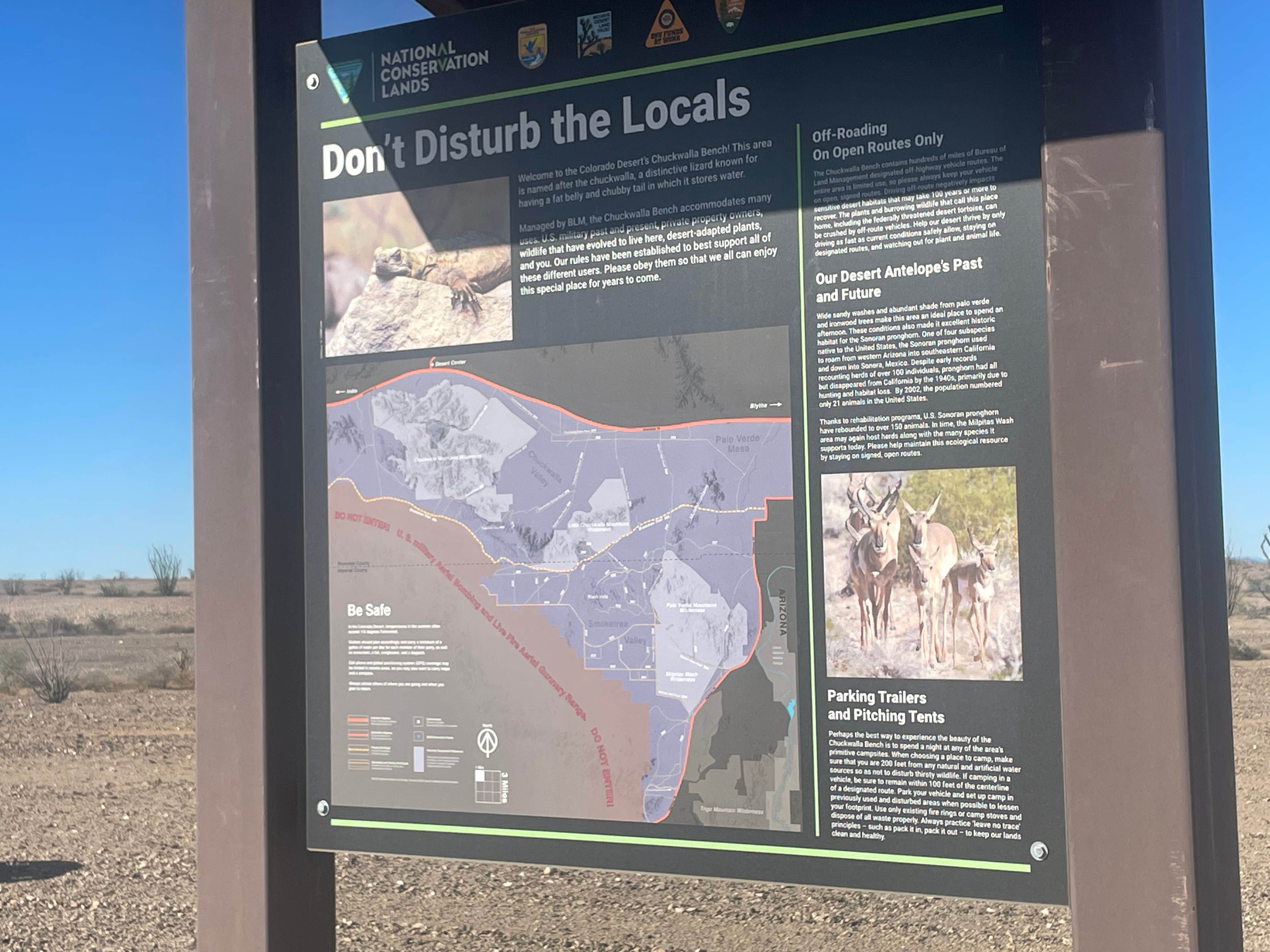 Camper submitted image from Black Mountain Road Camp - 2