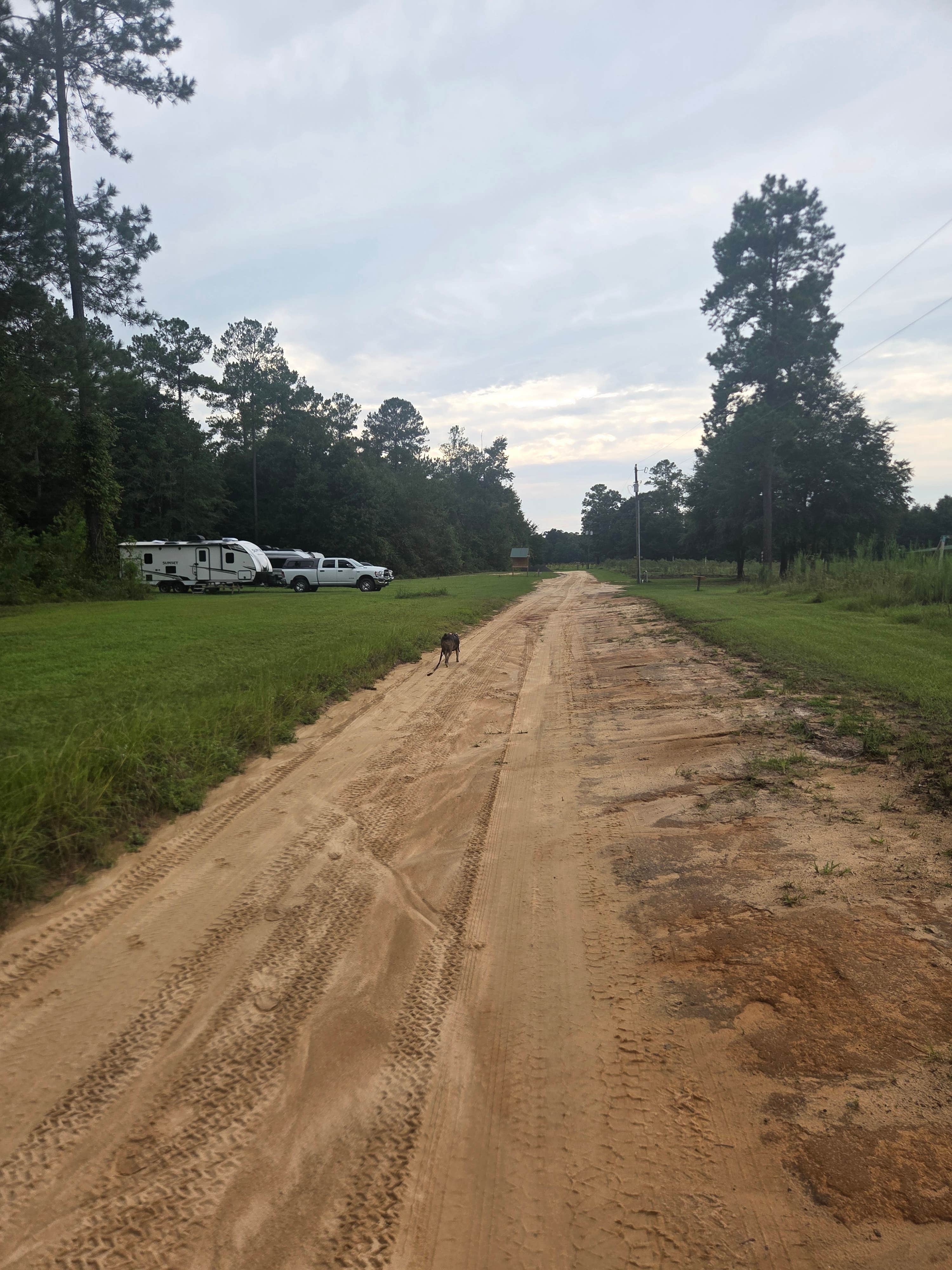 Thomas B.'s photo of camping with pets at Black Pearl Farms near Pinewood, SC