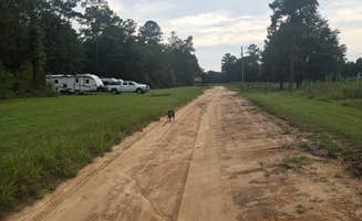 Thomas B.'s photo of camping with pets at Black Pearl Farms near Williston, SC