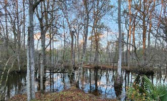 Camping near Colleton State Park Campground: Black Pearl Farms, Ehrhardt, South Carolina