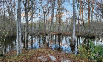 Camping near Barnwell State Park Campground: Black Pearl Farms, Ehrhardt, South Carolina