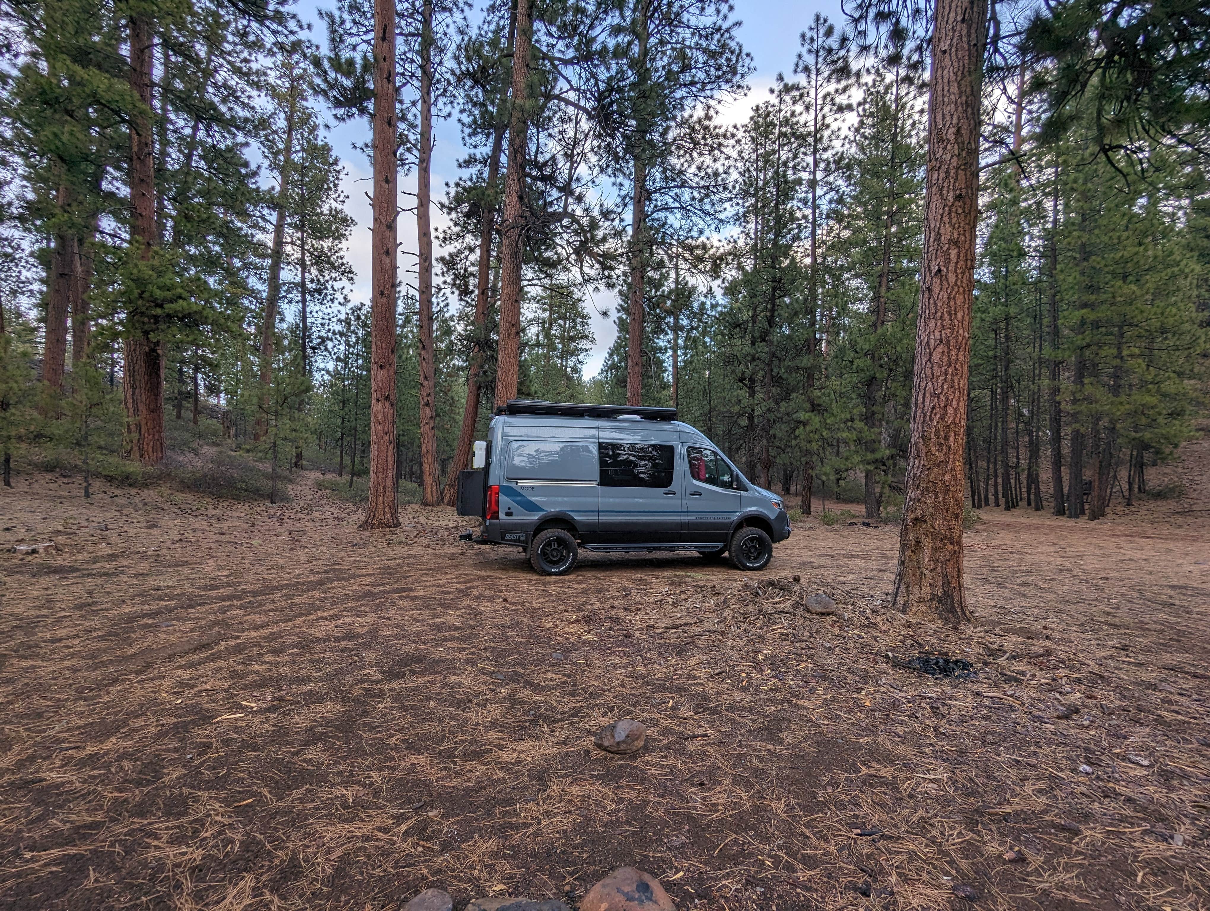 Camper-submitted photo at Black Pine Dispersed Camping near Mckenzie Bridge, OR