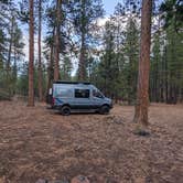 Review photo of Black Pine Dispersed Camping by Jason B., April 26, 2024