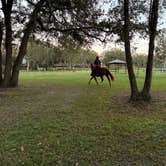 Review photo of Black Prong Equestrian Village by Jeremy R., November 28, 2024