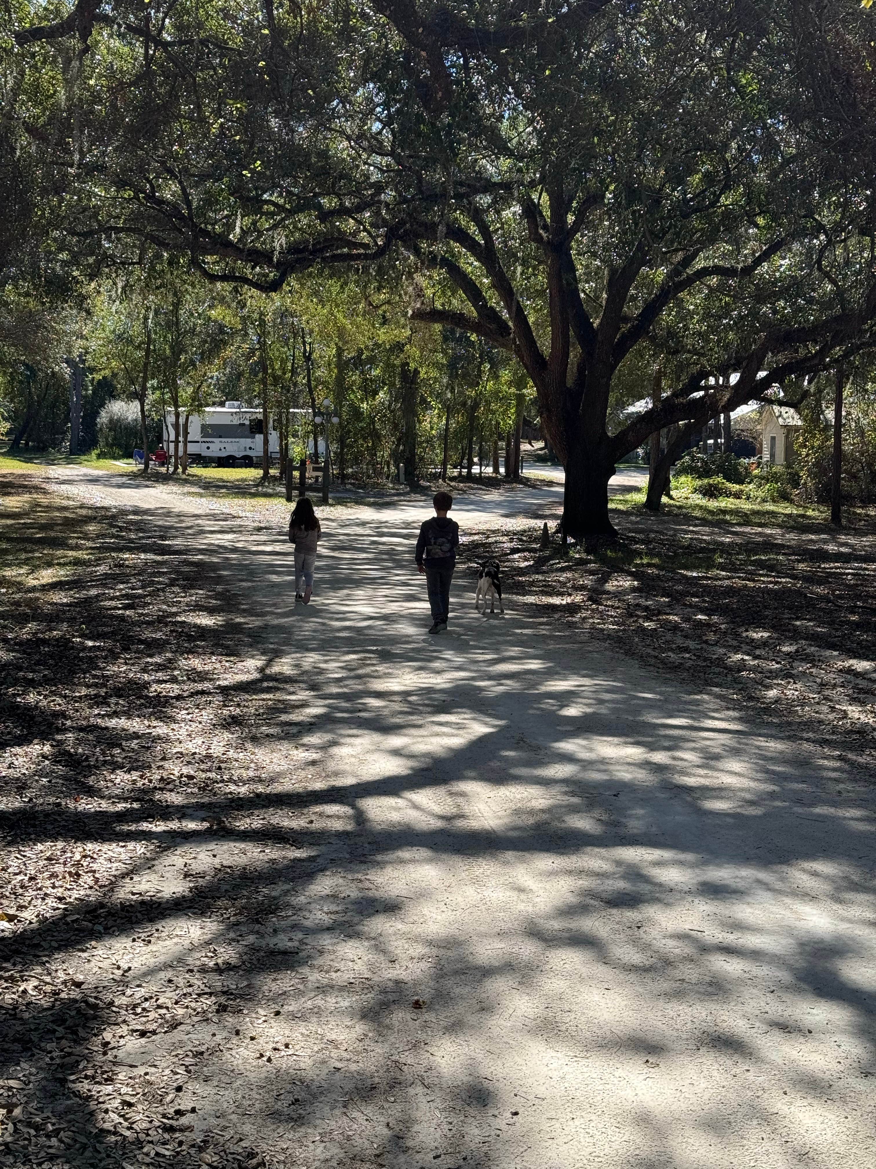 Jeremy R.'s photo of camping with pets at Black Prong Equestrian Village near Micanopy, FL