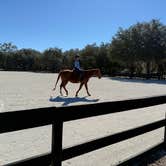 Review photo of Black Prong Equestrian Village by Jeremy R., November 28, 2024