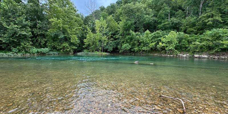 Camper submitted image from Black River Hideaway Campground